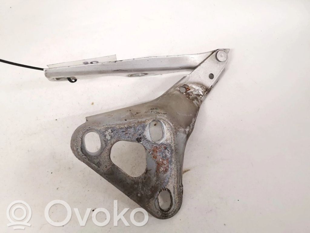 Opel Zafira A Cerniere del vano motore/cofano 