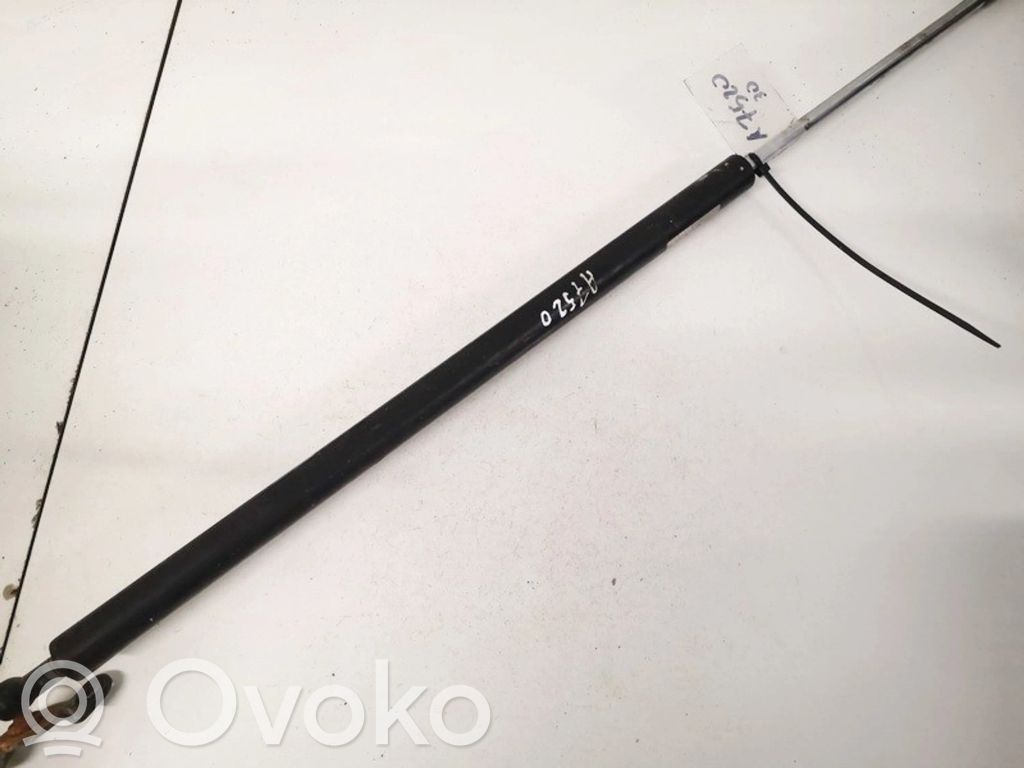 Tailgate/trunk strut/damper