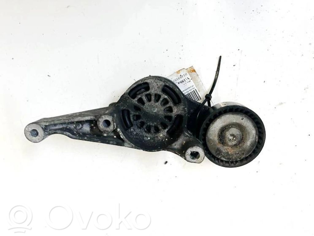 Skoda Octavia Mk2 (1Z) Tendicinghia generatore/alternatore