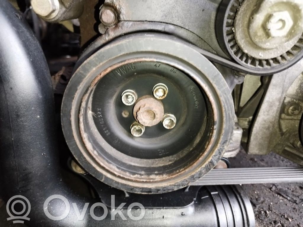 Skoda Octavia Mk2 (1Z) Puleggia dell’albero motore