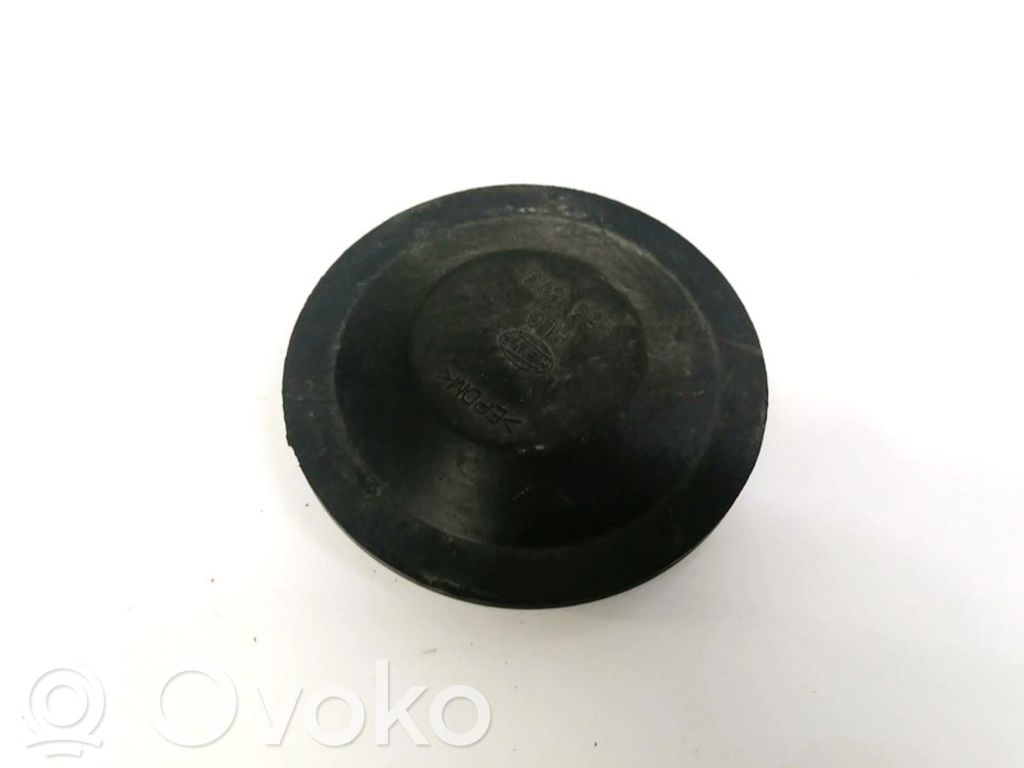 Nissan Almera Tino Parapolvere per faro/fanale