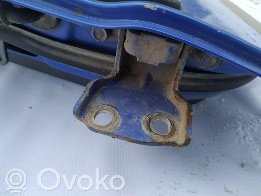 Rear door lower hinge