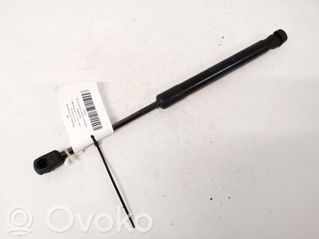 Audi A6 S6 C7 4G Ammortizzatore portellone anteriore/cofano