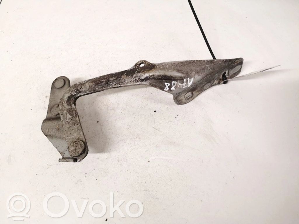 Ford Focus Dzinēja pārsega eņģe (-es) 