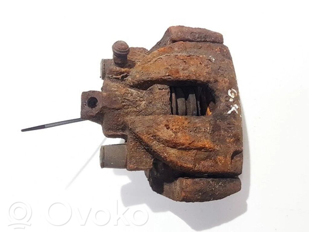 Takajarrusatula   9434165,9434165