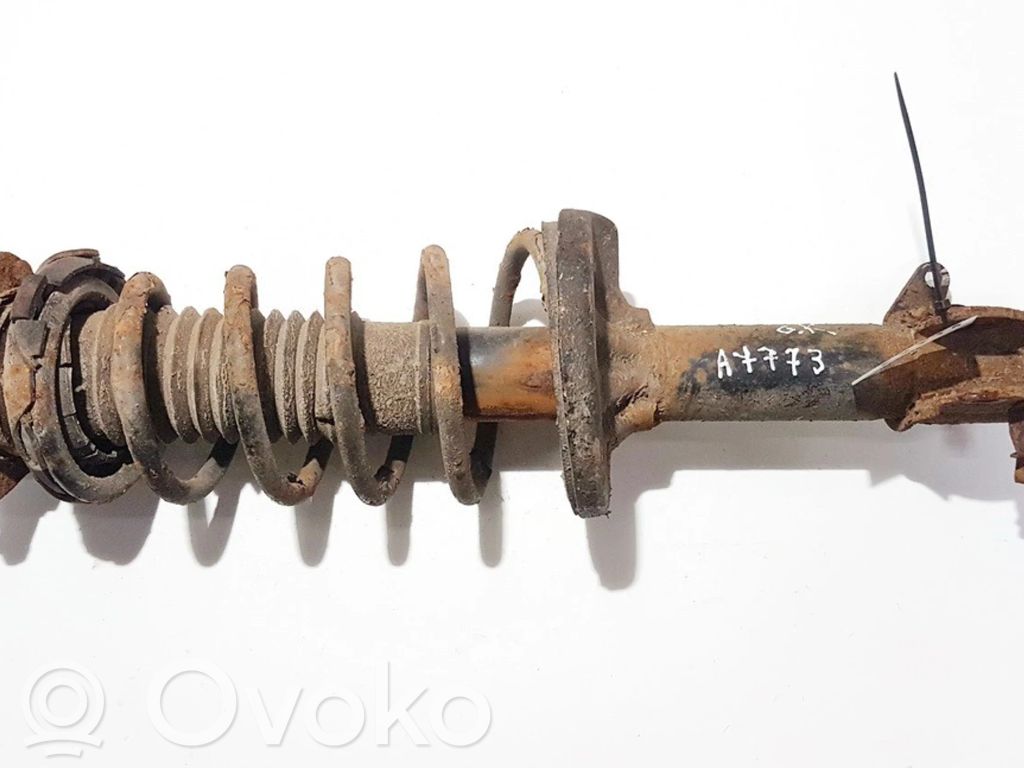 Stoßdämpfer hinten
