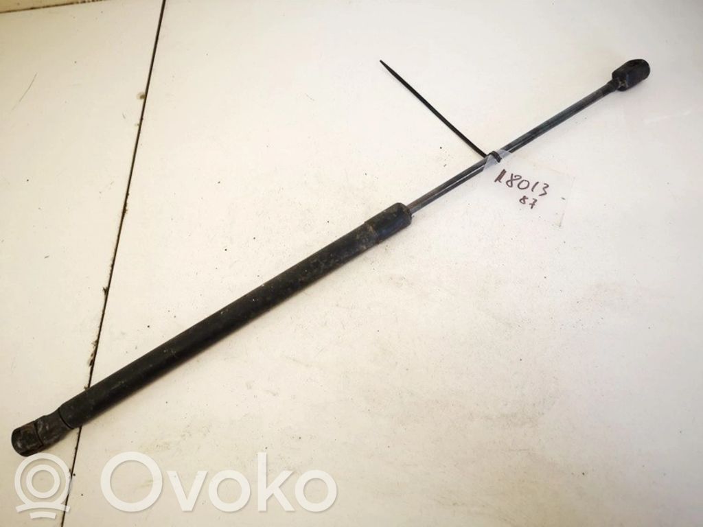 Tailgate/trunk strut/damper