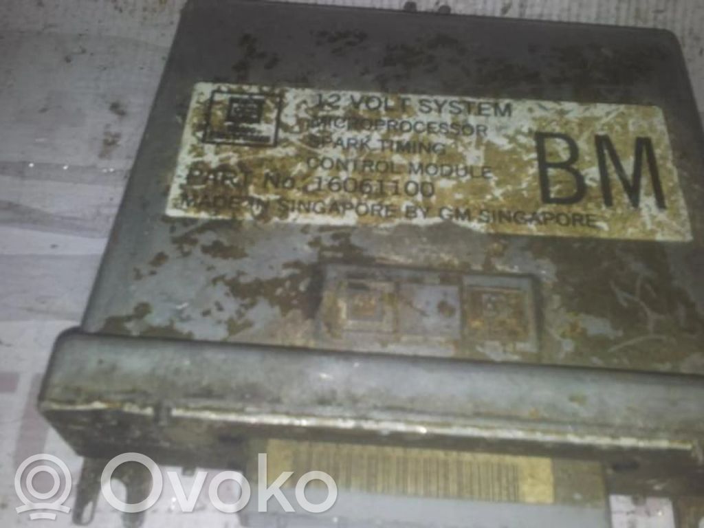 Engine control unit/module   16061100,16061100