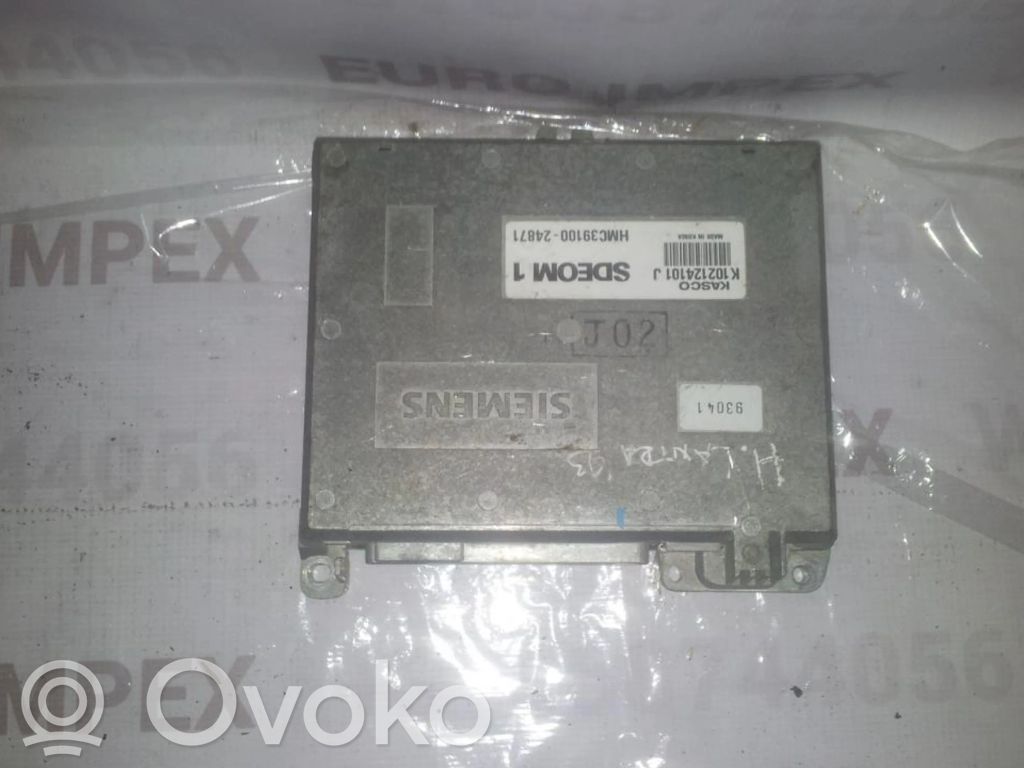 Hyundai Lantra I Engine control unit/module 