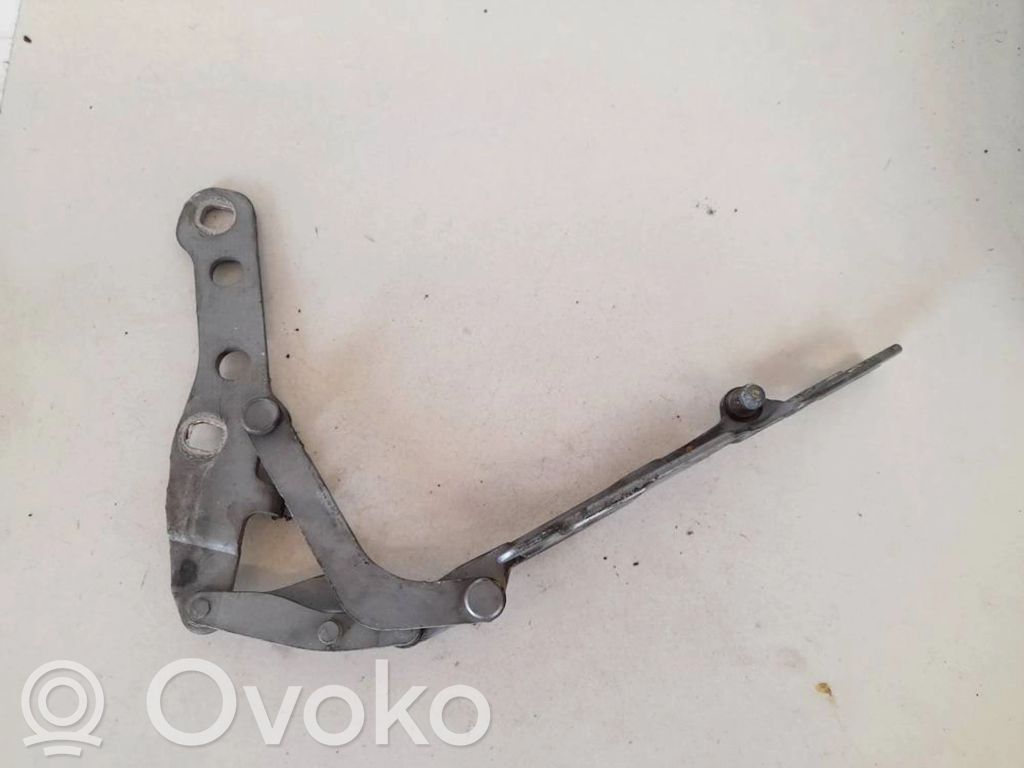 Scharnier Motorhaube   8200124,8200124