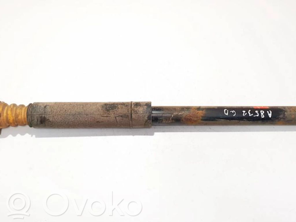 Stoßdämpfer hinten   343419,343419