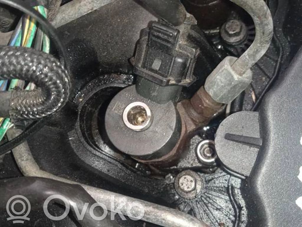 Injektor Einspritzdüse   0445110188,0445110188