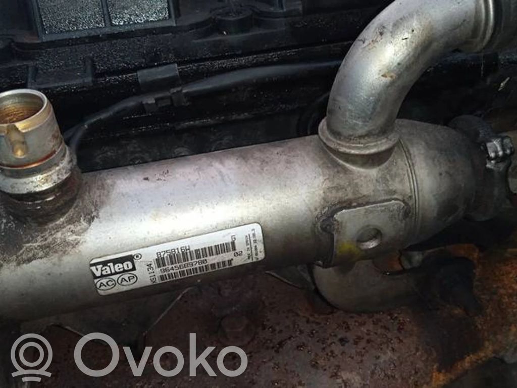 Citroen C4 I Valvola di raffreddamento EGR 