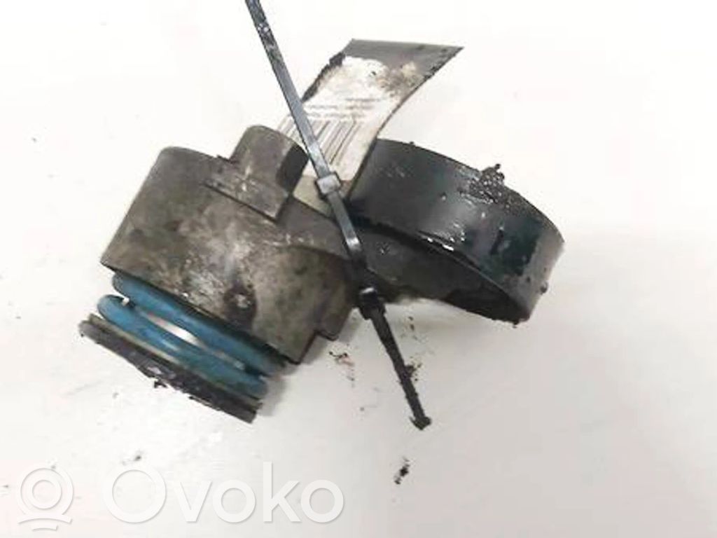 Renault Megane II Întinzător curea generator/alternator