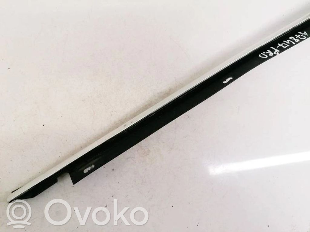 Audi A6 S6 C6 4F Listwa / Uszczelka szyby drzwi 