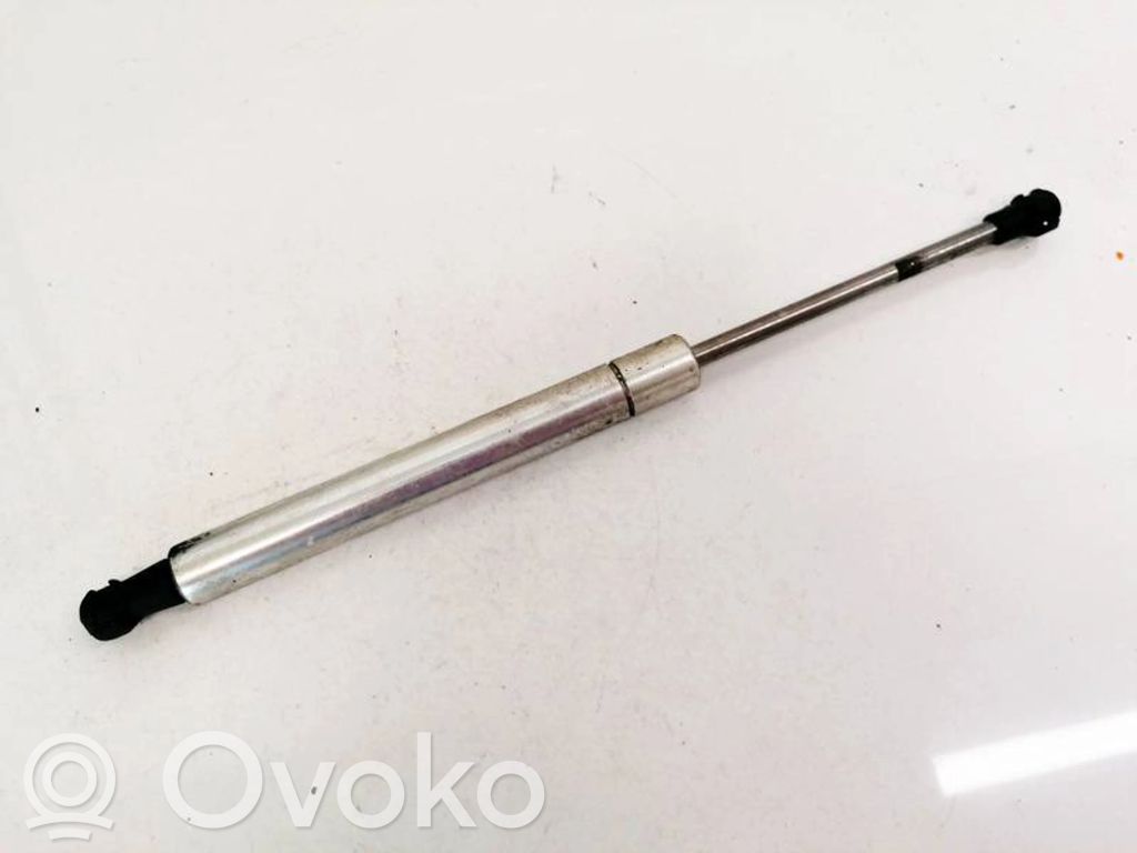 Volkswagen Phaeton Ammortizzatore portellone anteriore/cofano 