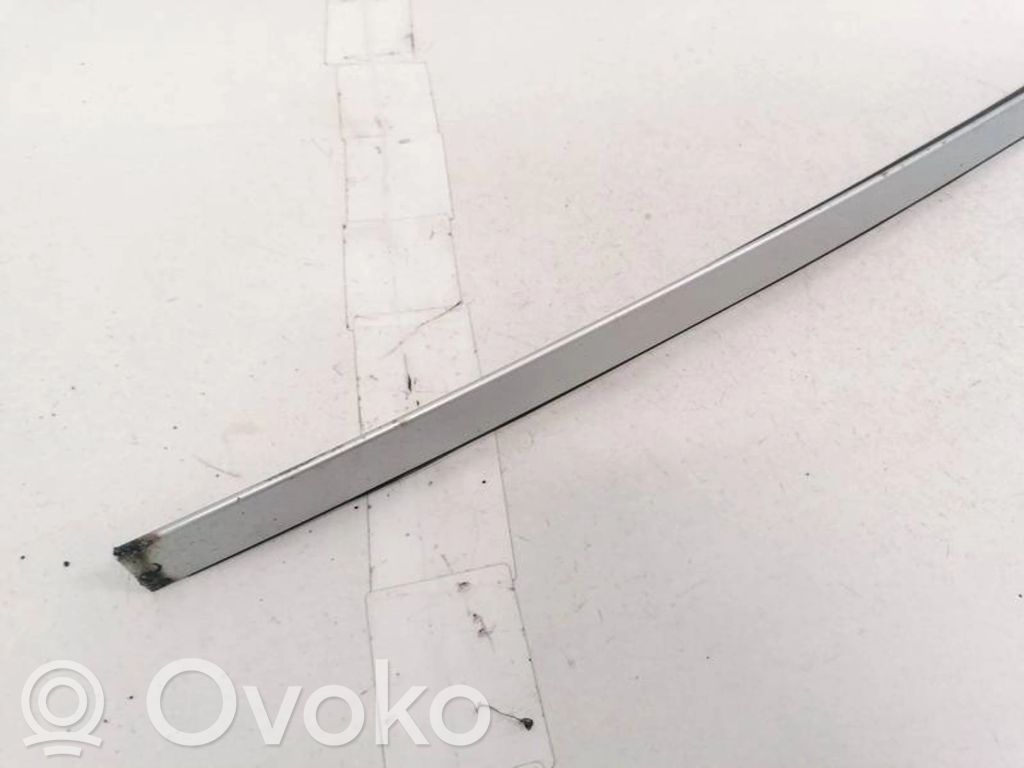 Opel Signum Rivestimento modanatura del vetro della portiera anteriore