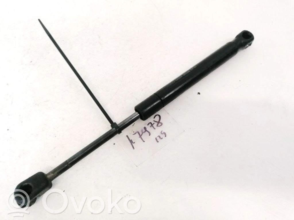 Konepellin kaasujousi   D56070,D56070