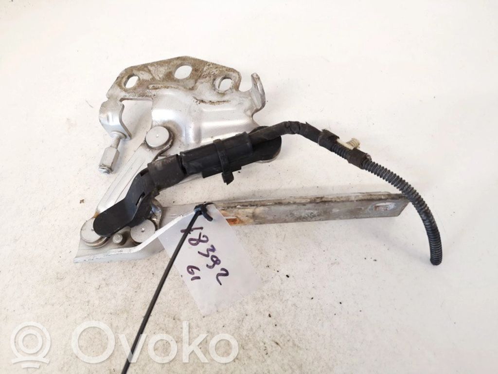 Volkswagen PASSAT B6 Cerniere del vano motore/cofano 