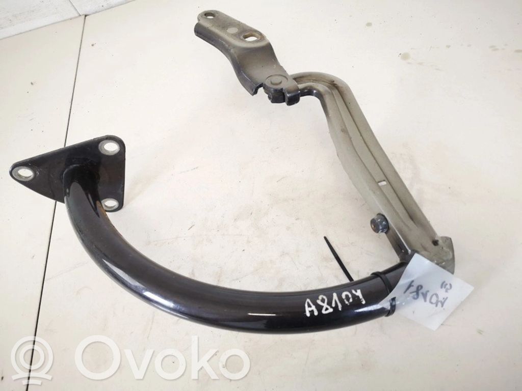 Volkswagen PASSAT B6 Cerniera portellone posteriore/bagagliaio