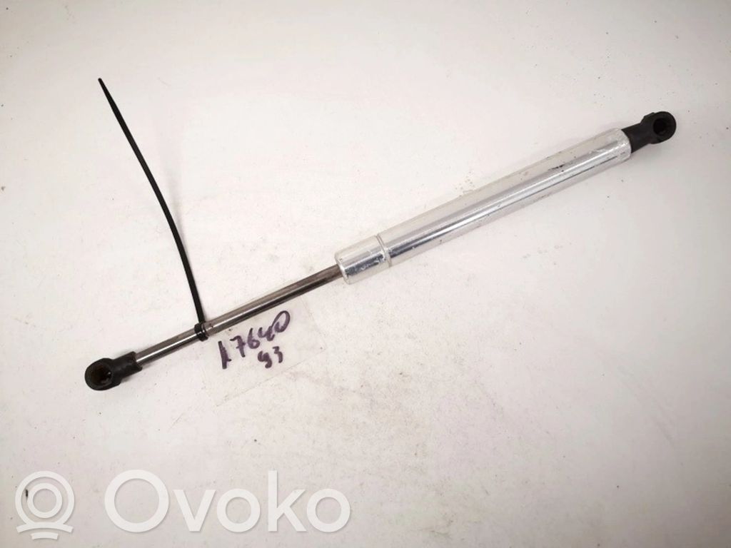 Volkswagen Phaeton Ammortizzatore portellone anteriore/cofano 