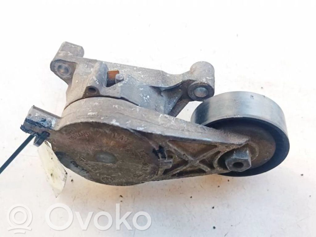 Seat Leon (1P) Întinzător curea generator/alternator 