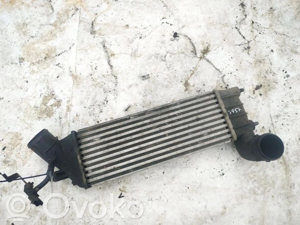 Radiador intercooler