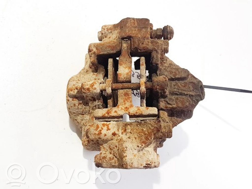 Takajarrusatula   36278,36278