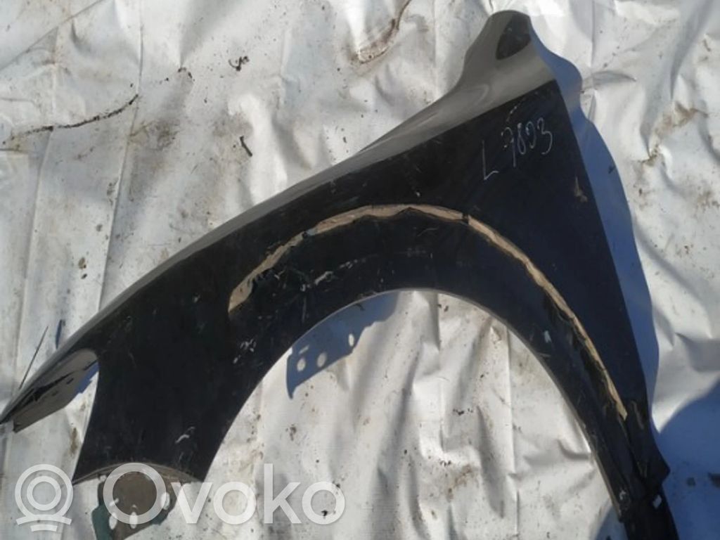 Volkswagen Touareg I Aripă 