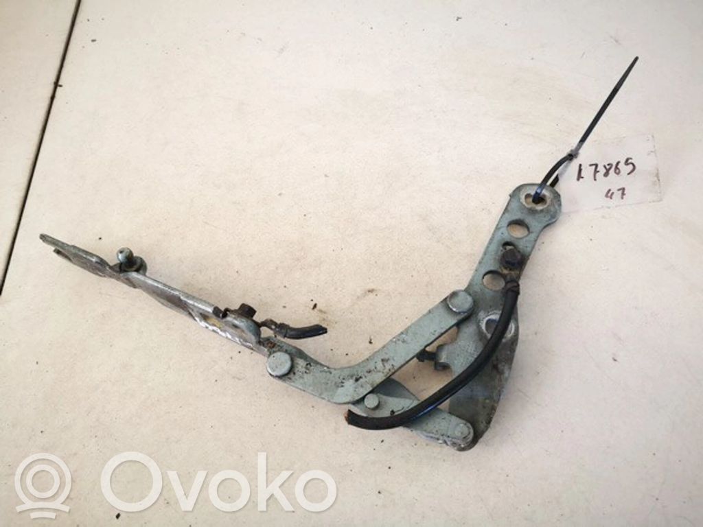 BMW 3 E46 Cerniere del vano motore/cofano 