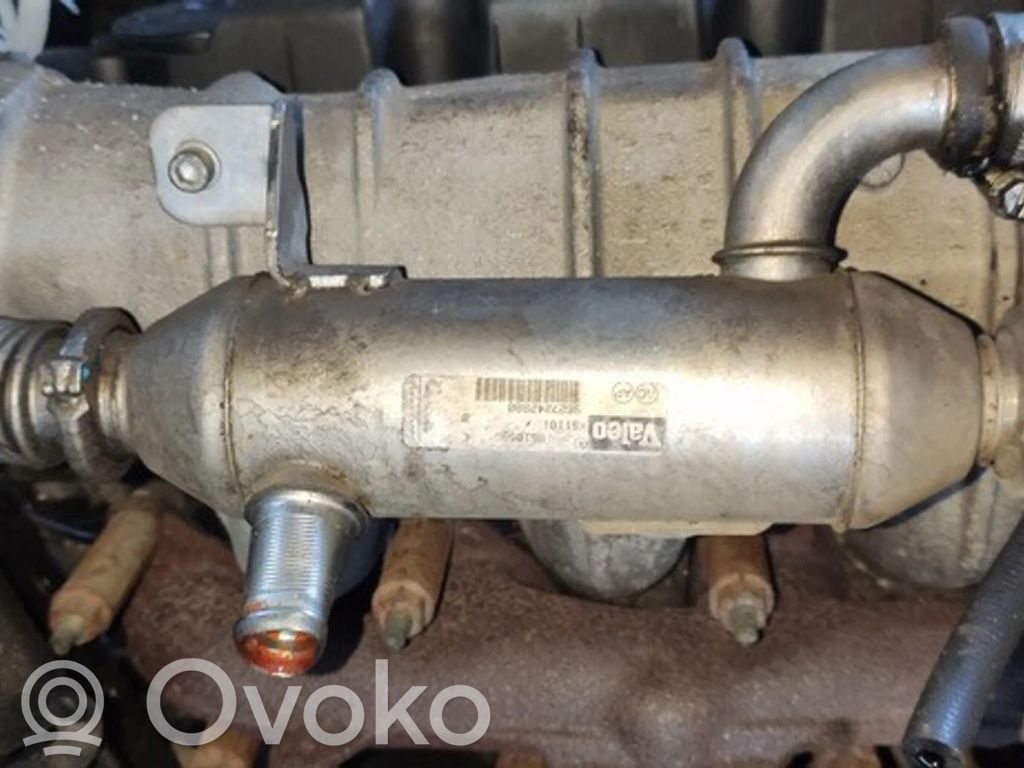 Citroen Xsara Valvola di raffreddamento EGR 