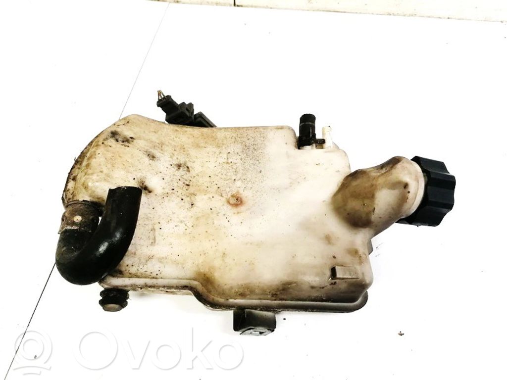 Peugeot 206 Vas expansiune/rezervor lichid de răcire 