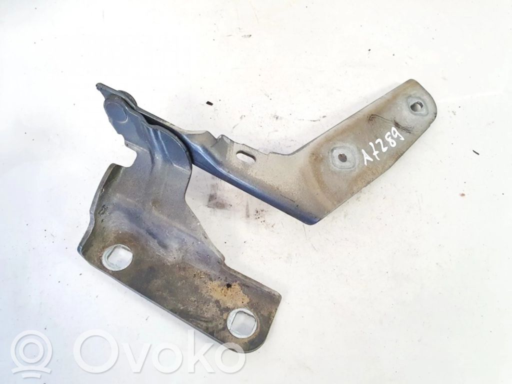 Citroen C4 I Cerniere del vano motore/cofano 