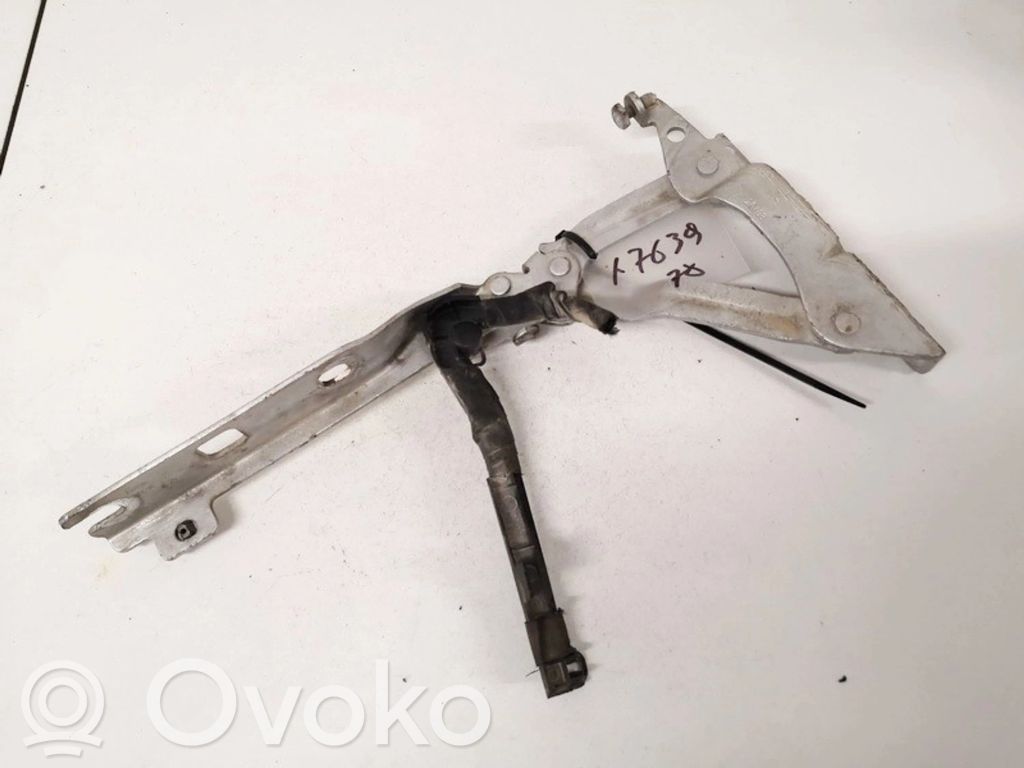 Volkswagen Golf V Balamale capotă 