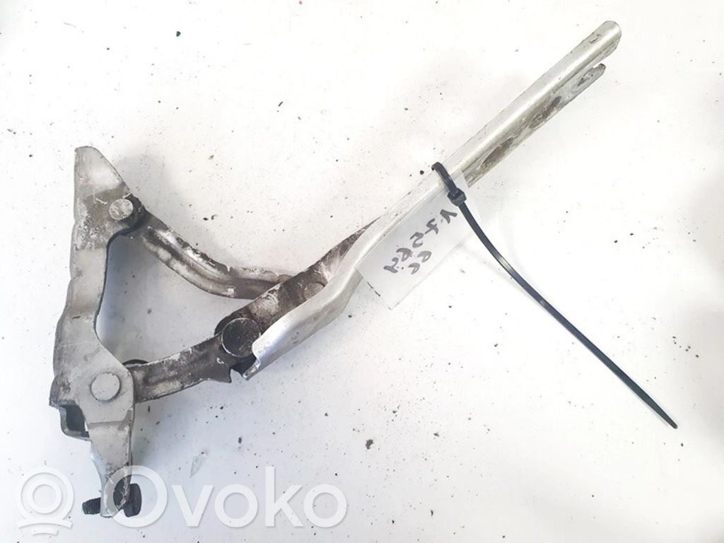 Skoda Octavia Mk2 (1Z) Balamale capotă 