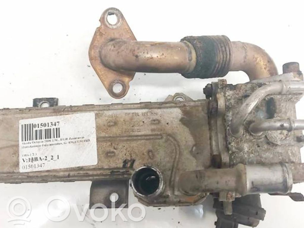 Skoda Octavia Mk2 (1Z) Răcitor supapă EGR