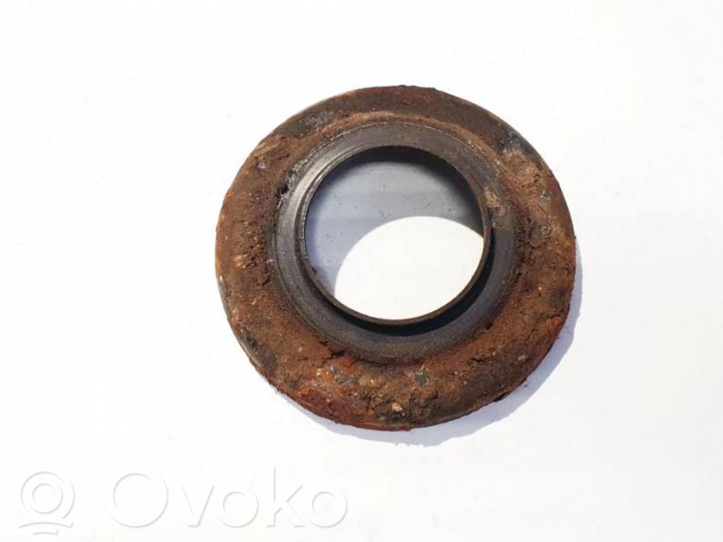 Coil spring mount