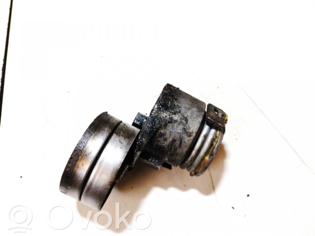 Tendicinghia generatore/alternatore   950627,950627