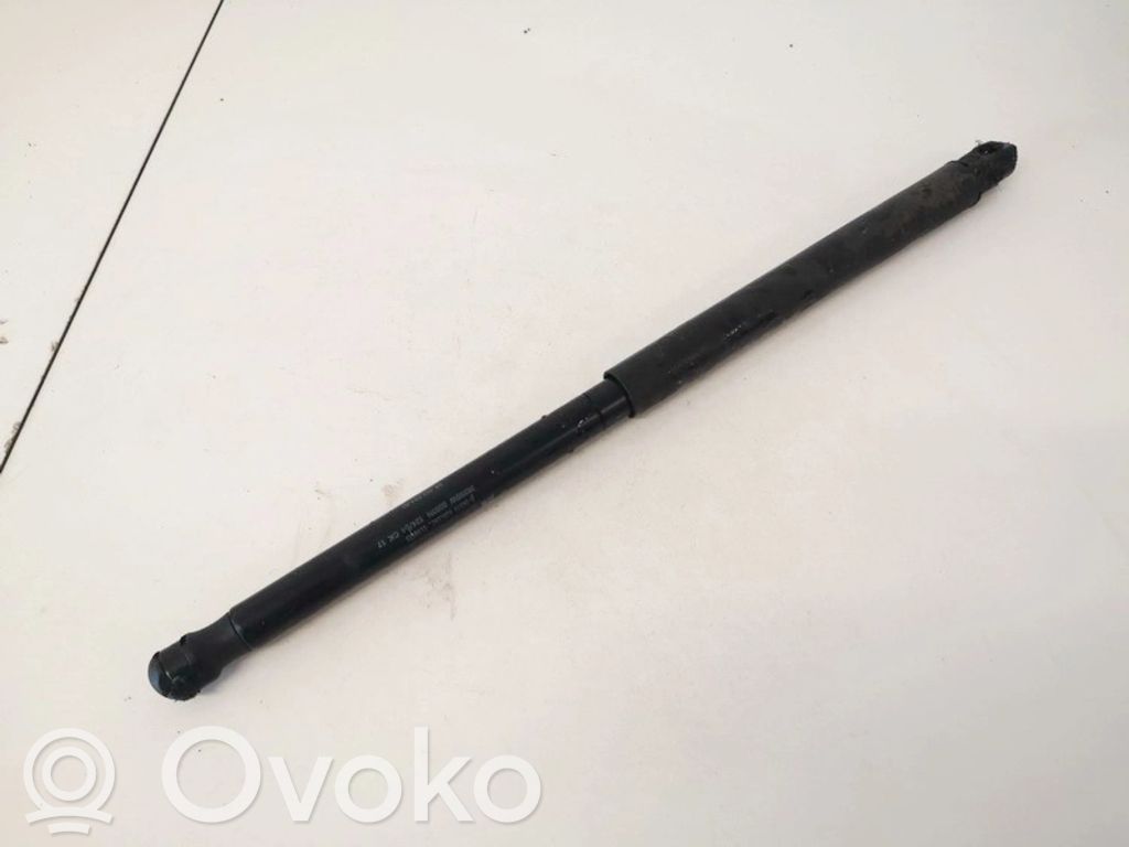 Citroen C2 Amortizor capotă motor 