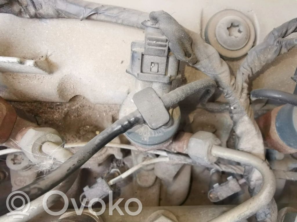 Injector combustibil   0445110021,7700111014,0445110021,7700111014