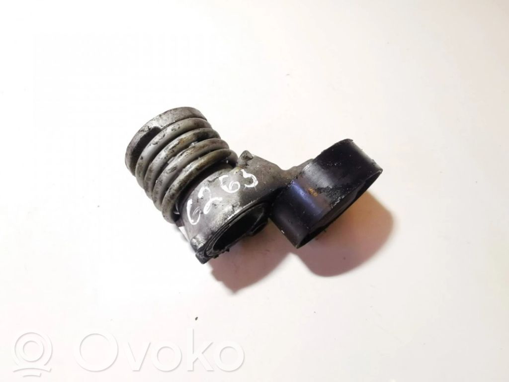 Hyundai Trajet Tensor de correa del alternador