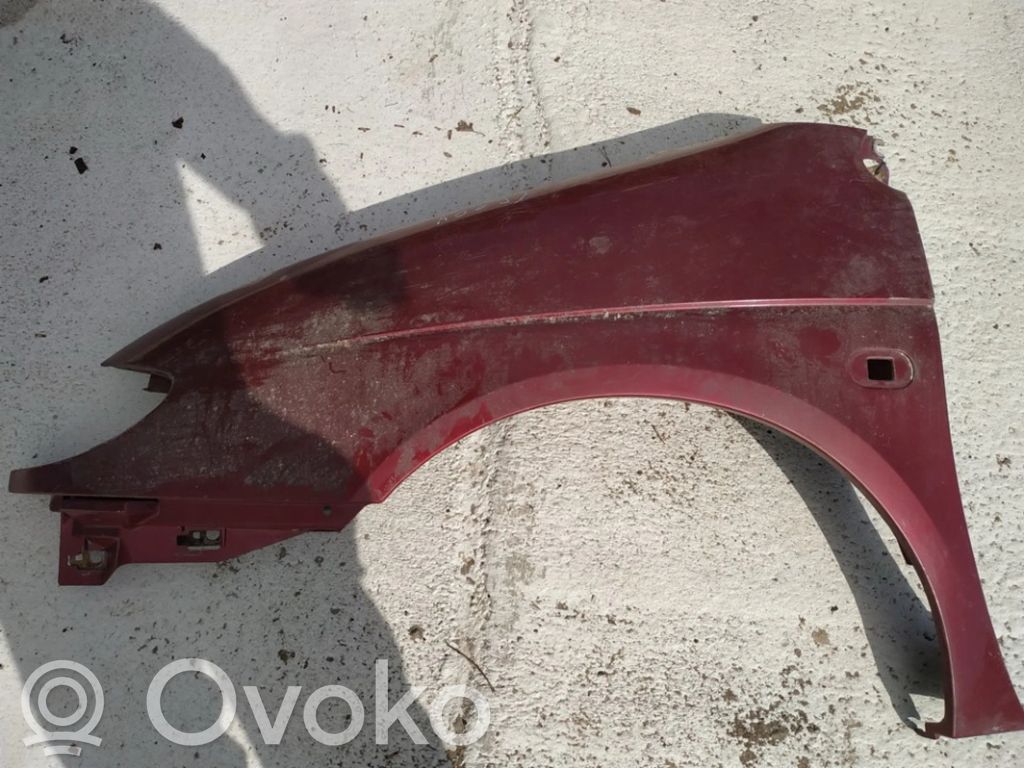 Renault Scenic I Sparnas 