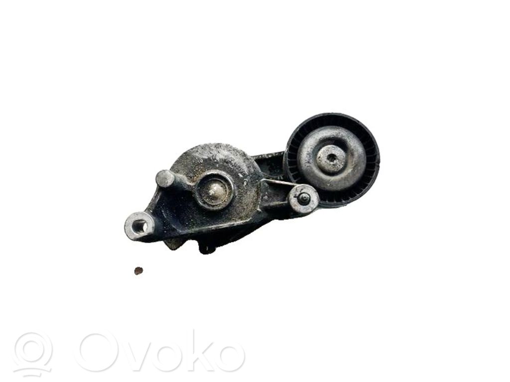 Seat Altea Întinzător curea generator/alternator 
