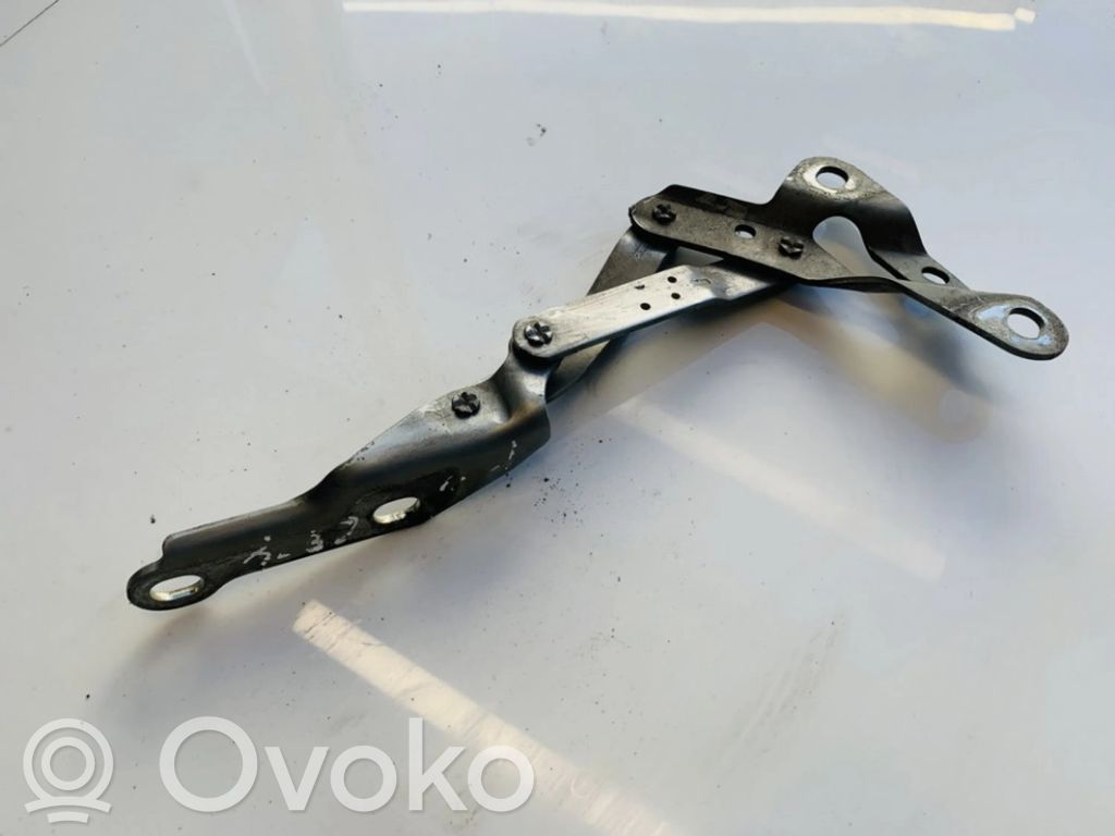 Seat Alhambra (Mk1) Cerniere del vano motore/cofano 