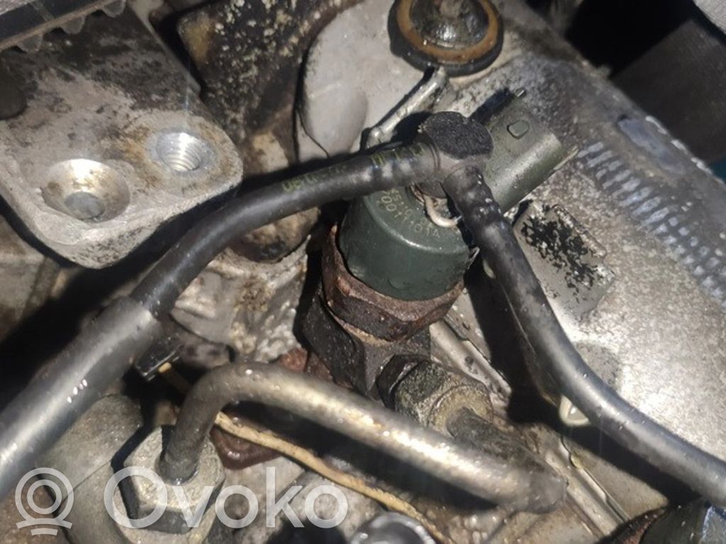Inyector de combustible   0445110021,7700111014,0445110021,7700111014