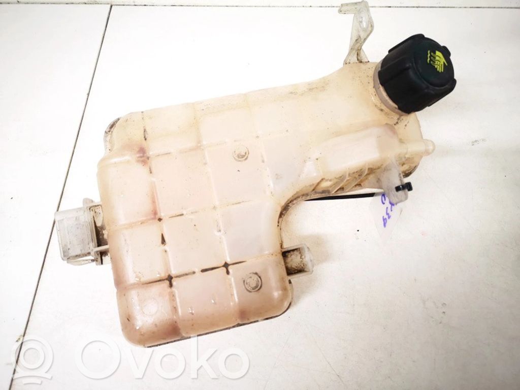 Renault Espace -  Grand espace IV Zbiornik wyrównawczy chłodziwa 