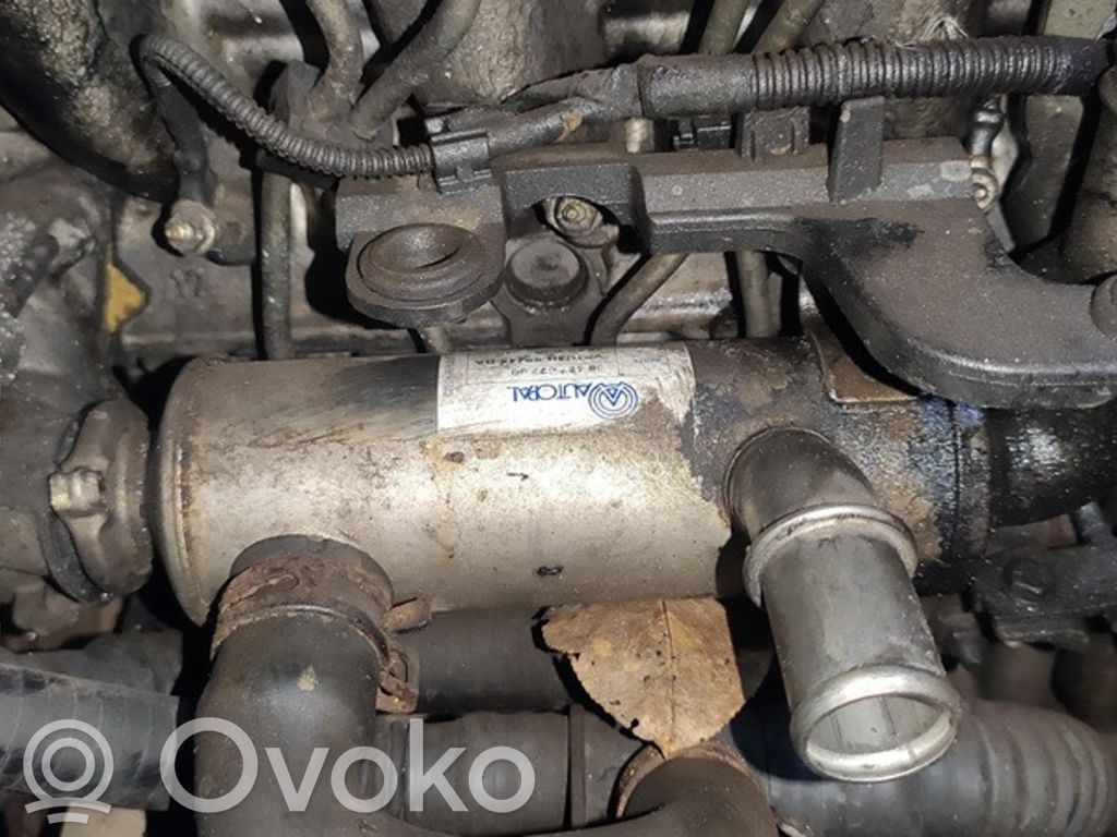 Volvo V50 Valvola di raffreddamento EGR 
