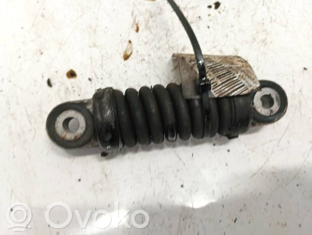 Renault Scenic I Tendicinghia generatore/alternatore 