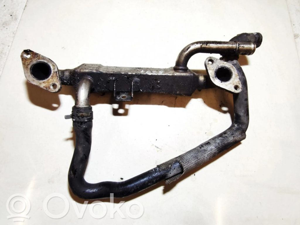 Volkswagen PASSAT B5 Răcitor supapă EGR 