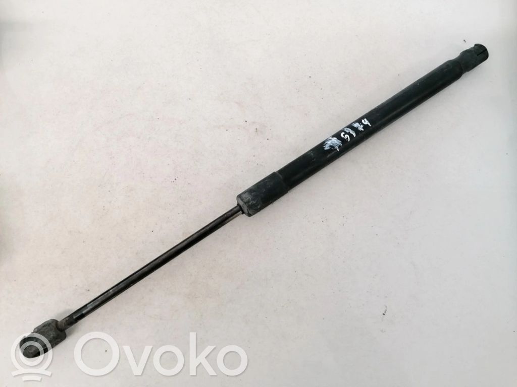 Skoda Roomster (5J) Amortizor hayon